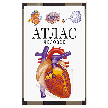 Атлас.Человек
