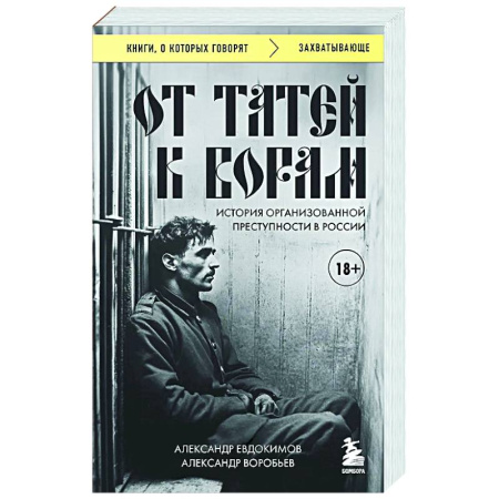 Криминал, книга От татей к ворам: история организованной преступности в России купить по скидке