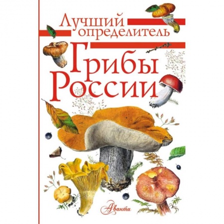 Животный и растительный мир, книга Грибы России. Определитель купить по скидке
