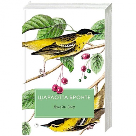 Зарубежная классика, книга Джейн Эйр купить по скидке