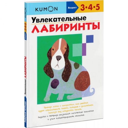 Развитие внимания и воображения, книга Увлекательные лабиринты купить по скидке